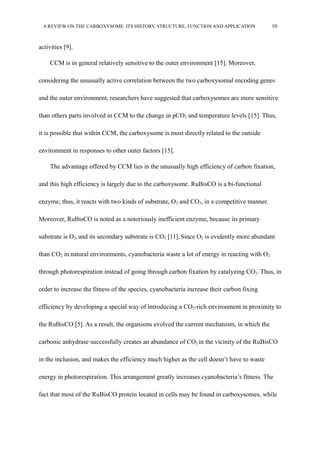A REVIEW ON THE CARBOXYSOME: ITS HISTORY, STRUCTURE, FUNCTION AND APPLICATION 10
activities [9].
CCM is in general relatively sensitive to the outer environment [15]. Moreover,
considering the unusually active correlation between the two carboxysomal encoding genes
and the outer environment, researchers have suggested that carboxysomes are more sensitive
than others parts involved in CCM to the change in pCO2 and temperature levels [15]. Thus,
it is possible that within CCM, the carboxysome is most directly related to the outside
environment in responses to other outer factors [15].
The advantage offered by CCM lies in the unusually high efficiency of carbon fixation,
and this high efficiency is largely due to the carboxysome. RuBisCO is a bi-functional
enzyme; thus, it reacts with two kinds of substrate, O2 and CO2, in a competitive manner.
Moreover, RuBisCO is noted as a notoriously inefficient enzyme, because its primary
substrate is O2,and its secondary substrate is CO2 [11]. Since O2 is evidently more abundant
than CO2 in natural environments, cyanobacteria waste a lot of energy in reacting with O2
through photorespiration instead of going through carbon fixation by catalyzing CO2. Thus, in
order to increase the fitness of the species, cyanobacteria increase their carbon fixing
efficiency by developing a special way of introducing a CO2-rich environment in proximity to
the RuBisCO [5]. As a result, the organisms evolved the current mechanism, in which the
carbonic anhydrase successfully creates an abundance of CO2 in the vicinity of the RuBisCO
in the inclusion, and makes the efficiency much higher as the cell doesn’t have to waste
energy in photorespiration. This arrangement greatly increases cyanobacteria’s fitness. The
fact that most of the RuBisCO protein located in cells may be found in carboxysomes, while
 
