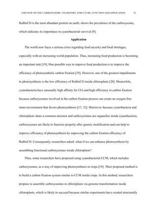 A REVIEW ON THE CARBOXYSOME: ITS HISTORY, STRUCTURE, FUNCTION AND APPLICATION 11
RuBisCO is the most abundant protein on earth, shows the prevalence of the carboxysome,
which indicates its importance in cyanobacterial survival [9].
Application
The world now faces a serious crisis regarding food security and food shortages,
especially with an increasing world population. Thus, increasing food production is becoming
an important task [19]. One possible way to improve food production is to improve the
efficiency of photosynthetic carbon fixation [19]. However, one of the greatest impediments
to photosynthesis is the low efficiency of RuBisCO inside chloroplasts [20]. Meanwhile,
cyanobacteria have unusually high affinity for CO2 and high efficiency in carbon fixation
because carboxysomes involved in the carbon fixation process can create an oxygen-free
inner-environment that favors photosynthesis [17, 32]. Moreover, because cyanobacteria and
chloroplasts share a common ancestor and carboxysomes are organelles inside cyanobacteria,
carboxysomes are likely to function properly after genetic modification and can help to
improve efficiency of photosynthesis by improving the carbon fixation efficiency of
RuBisCO. Consequently, researchers asked: what if we can enhance photosynthesis by
assembling functional carboxysomes inside chloroplasts?
Thus, some researchers have proposed using cyanobacterial CCM, which includes
carboxysomes, as a way of improving photosynthesis in crops [19]. Their proposed method is
to build a carbon fixation system similar to CCM inside crops. In this method, researchers
propose to assemble carboxysomes in chloroplasts via genome transformation inside
chloroplasts, which is likely to succeed because similar experiments have created structurally
 