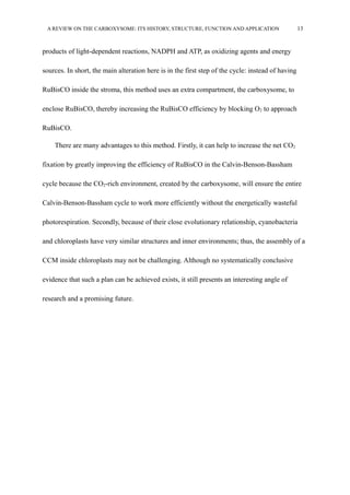 A REVIEW ON THE CARBOXYSOME: ITS HISTORY, STRUCTURE, FUNCTION AND APPLICATION 13
products of light-dependent reactions, NADPH and ATP, as oxidizing agents and energy
sources. In short, the main alteration here is in the first step of the cycle: instead of having
RuBisCO inside the stroma, this method uses an extra compartment, the carboxysome, to
enclose RuBisCO, thereby increasing the RuBisCO efficiency by blocking O2 to approach
RuBisCO.
There are many advantages to this method. Firstly, it can help to increase the net CO2
fixation by greatly improving the efficiency of RuBisCO in the Calvin-Benson-Bassham
cycle because the CO2-rich environment, created by the carboxysome, will ensure the entire
Calvin-Benson-Bassham cycle to work more efficiently without the energetically wasteful
photorespiration. Secondly, because of their close evolutionary relationship, cyanobacteria
and chloroplasts have very similar structures and inner environments; thus, the assembly of a
CCM inside chloroplasts may not be challenging. Although no systematically conclusive
evidence that such a plan can be achieved exists, it still presents an interesting angle of
research and a promising future.
 