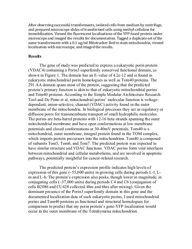 sle research report pdf research report sle pdf 28 images sle research report sle research report pdf research report sle pdf 28 images sle research report