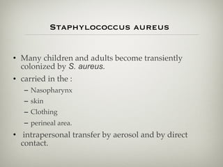 Staphylococcus aureus
• Many children and adults become transiently
colonized by S. aureus.
• carried in the :
– Nasopharynx
– skin
– Clothing
– perineal area.
• intrapersonal transfer by aerosol and by direct
contact.
 