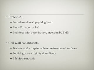 • Protein A:
– Bound to cell wall peptidoglycan
– Binds Fc region of IgG
– Interferes with opsonisation, ingestion by PMN
• Cell wall constituents:
– Teichoic acid – imp for adherence to mucosal surfaces
– Peptidoglycan – rigidity & resilience
– Inhibit chemotaxis
 