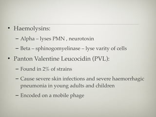 • Haemolysins:
– Alpha – lyses PMN , neurotoxin
– Beta – sphinogomyelinase – lyse varity of cells
• Panton Valentine Leucocidin (PVL):
– Found in 2% of strains
– Cause severe skin infections and severe haemorrhagic
pneumonia in young adults and children
– Encoded on a mobile phage
 