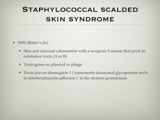 Staphylococcal scalded
skin syndrome
• SSSS (Ritter’s dx)
• Skin and mucosal colonisation with a toxigenic S aureus that prod an
exfoliative toxin (A or B)
• Toxin genes on plasmid or phage
• Toxin acts on desmoglein 1 ( transmemb desosomal glycoprotein invlv
in interkeratinocyte adhesion ) in the stratum granulosum
 