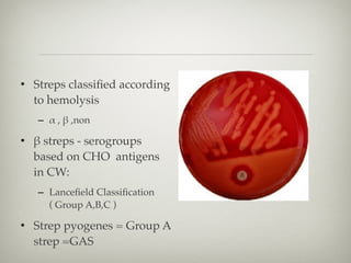 • Streps classiﬁed according
to hemolysis
– α , β ,non
• β streps - serogroups
based on CHO antigens
in CW:
– Lanceﬁeld Classiﬁcation
( Group A,B,C )
• Strep pyogenes = Group A
strep =GAS
 