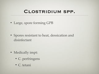 Clostridium spp.
• Large, spore forming GPB
• Spores resistant to heat, dessication and
disinfectant
• Medically impt:
• C. perfringens
• C. tetani
 