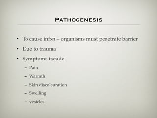 Pathogenesis
• To cause infxn – organisms must penetrate barrier
• Due to trauma
• Symptoms incude
– Pain
– Warmth
– Skin discolouration
– Swelling
– vesicles
 