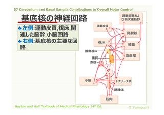 57 cerebellum and basal ganglia contributions to overall motor control ...