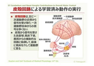 57 cerebellum and basal ganglia contributions to overall motor control ...