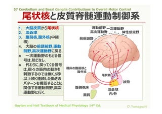 57 cerebellum and basal ganglia contributions to overall motor control ...