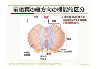57 cerebellum and basal ganglia contributions to overall motor control ...