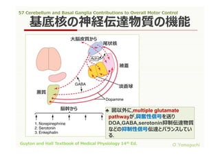 57 cerebellum and basal ganglia contributions to overall motor control ...