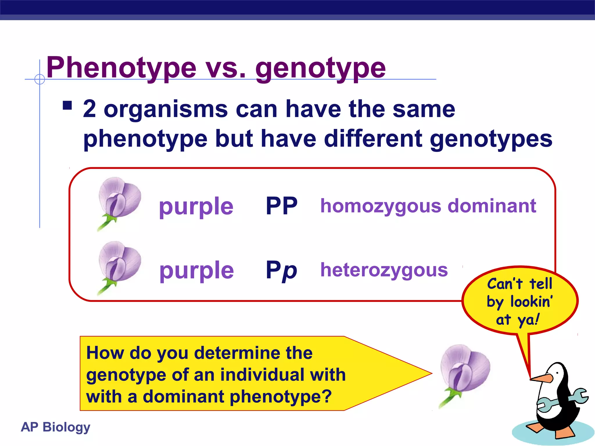Phenotype vs. genotype
     2 organisms can have the same
        phenotype but have different genotypes

                 purple      PP homozygous dominant

                 purple      Pp heterozygous   Can’t tell
                                               by lookin’
                                                at ya!

         How do you determine the
         genotype of an individual with
         with a dominant phenotype?
AP Biology
 
