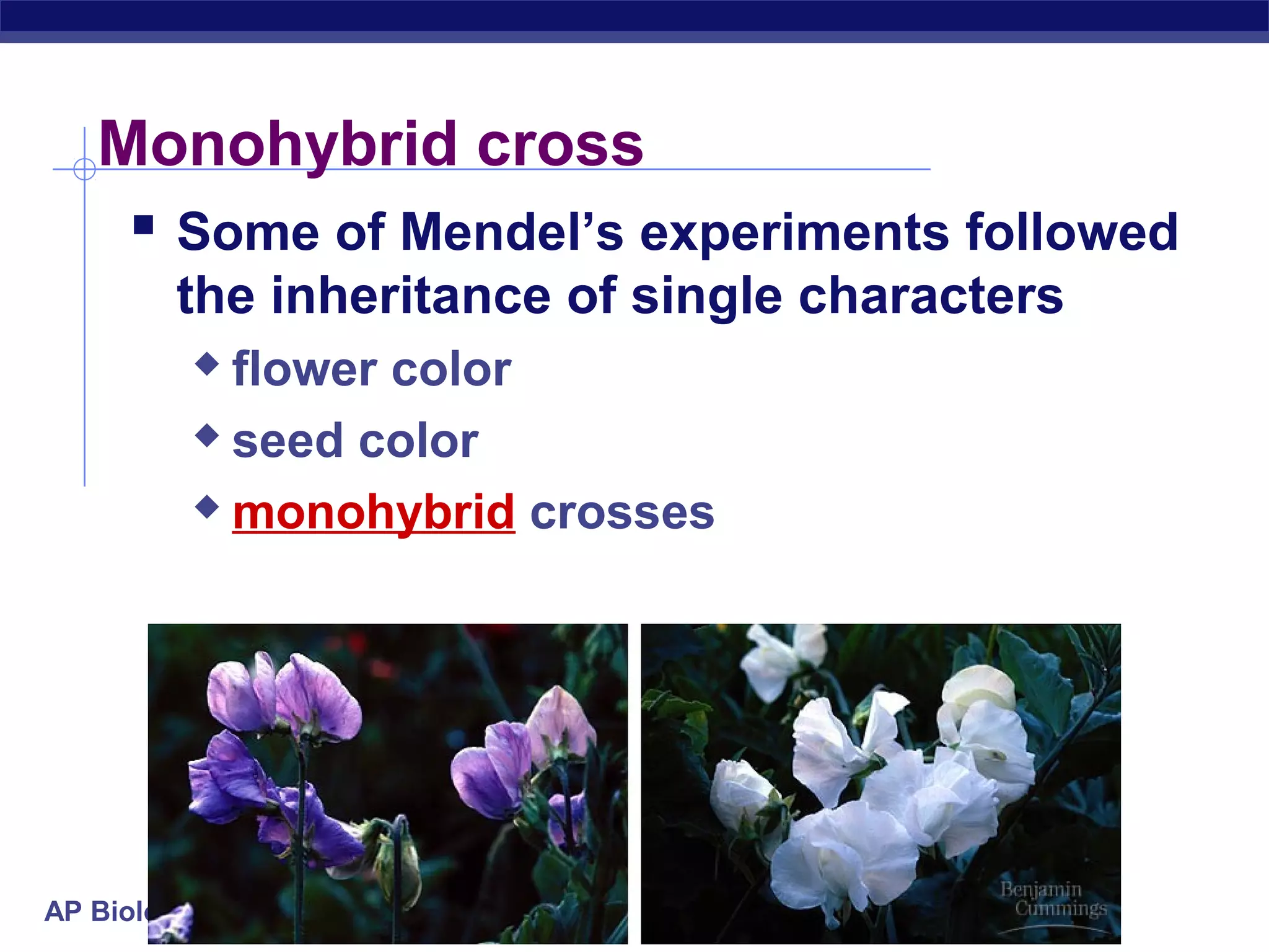 Monohybrid cross
     Some of Mendel’s experiments followed
        the inheritance of single characters
          flower color
          seed color

          monohybrid crosses




AP Biology
 