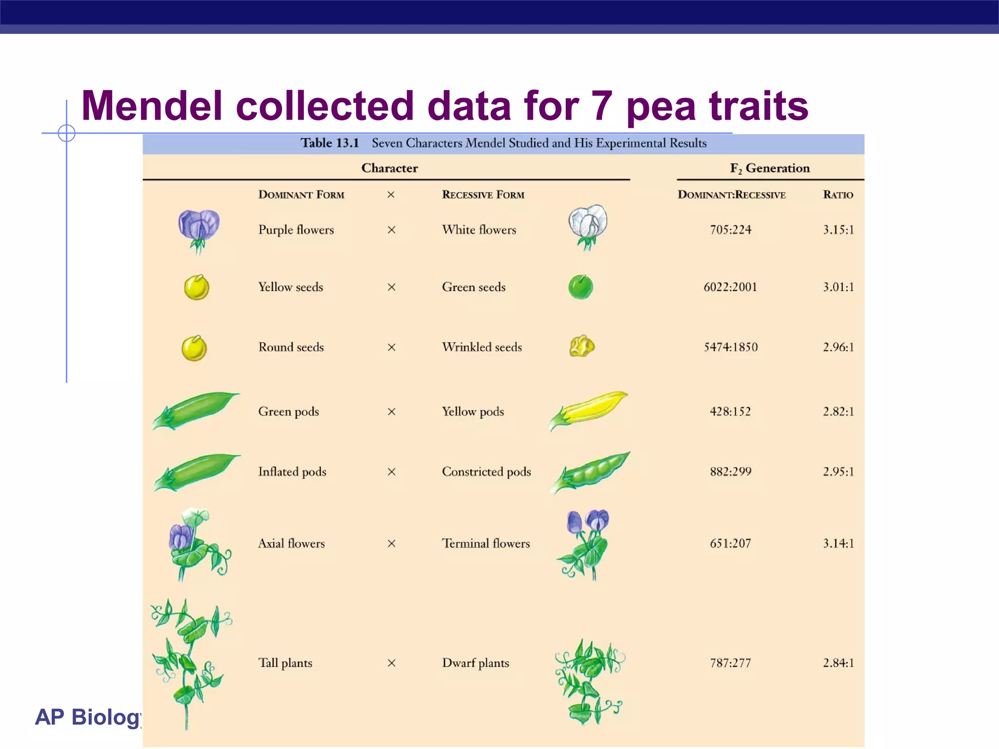 Mendel collected data for 7 pea traits




AP Biology
 
