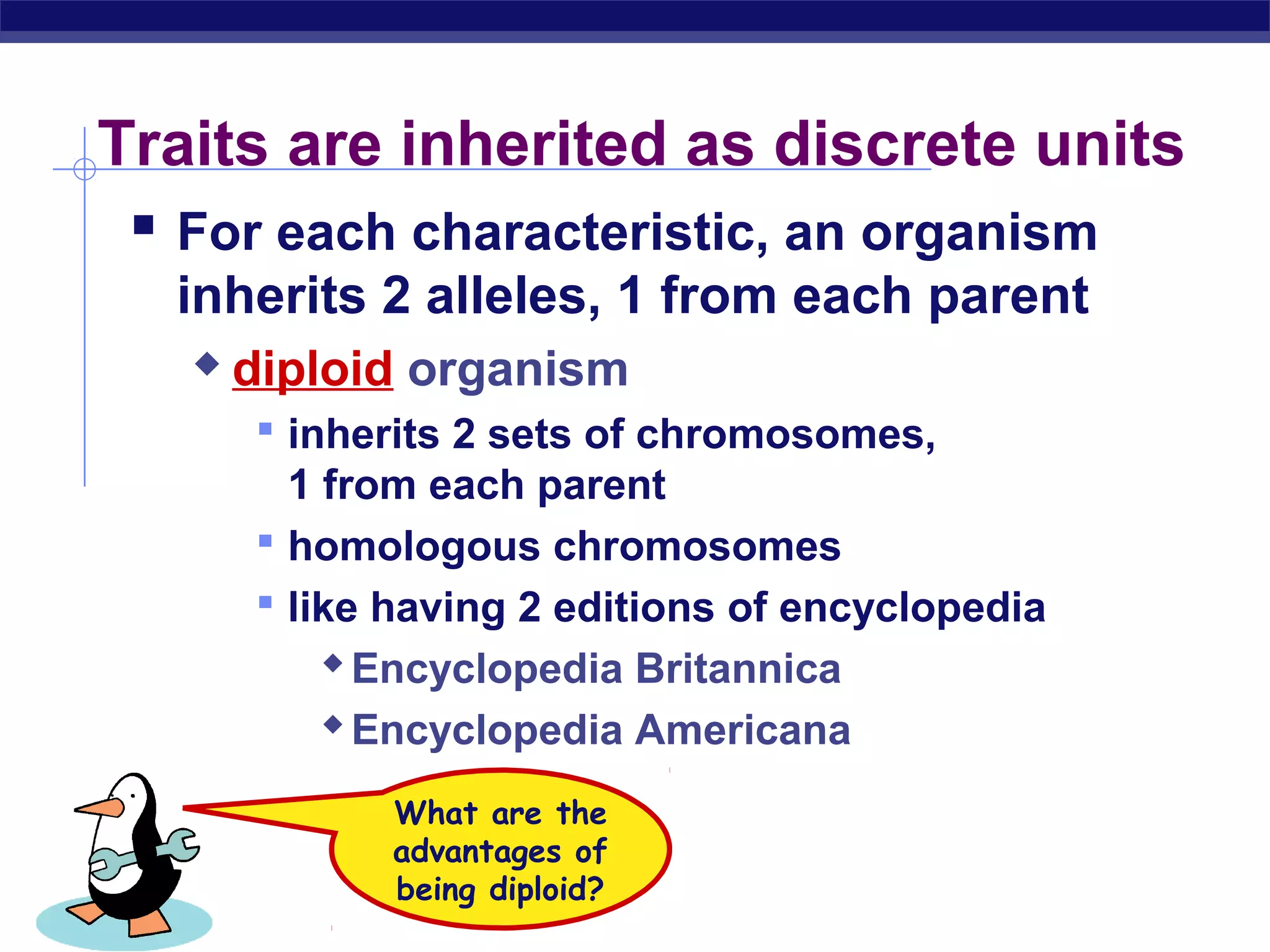 Traits are inherited as discrete units
     For each characteristic, an organism
        inherits 2 alleles, 1 from each parent
            diploid organism
              inherits 2 sets of chromosomes,
               1 from each parent
              homologous chromosomes
              like having 2 editions of encyclopedia
                  Encyclopedia Britannica
                  Encyclopedia Americana
                   What are the
                   advantages of
                   being diploid?
AP Biology
 