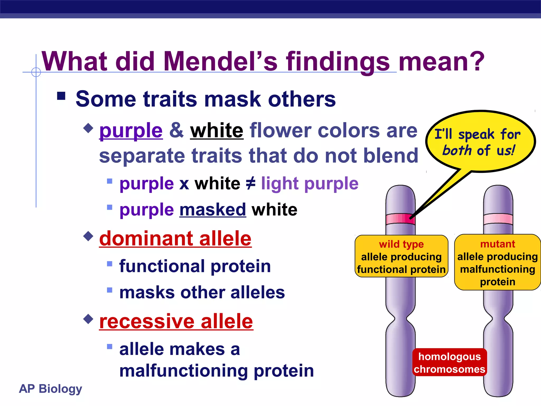 What did Mendel’s findings mean?
     Some traits mask others
            purple & white flower colors are             I’ll speak for
                                                           both of us!
             separate traits that do not blend
              purple x white ≠ light purple
              purple masked white
            dominant allele                    wild type            mutant
                                            allele producing    allele producing
              functional protein          functional protein   malfunctioning
                                                                     protein
              masks other alleles
            recessive allele
              allele makes a                          homologous
               malfunctioning protein                 chromosomes
AP Biology
 