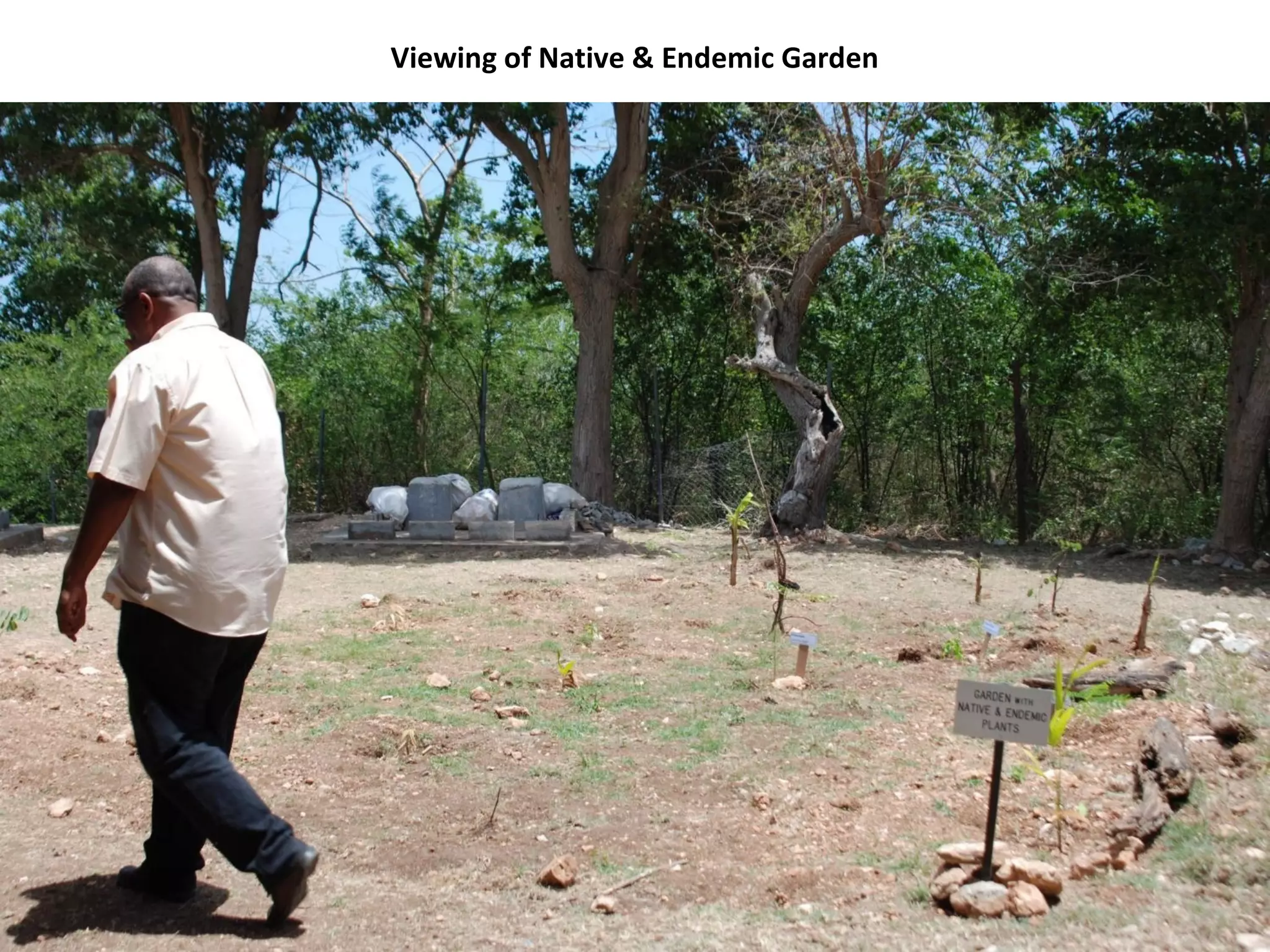 Viewing of Native & Endemic Garden
 