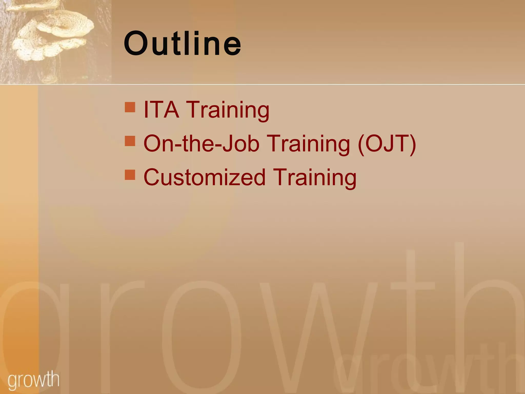 Outline
 ITA Training
 On-the-Job Training (OJT)
 Customized Training
 