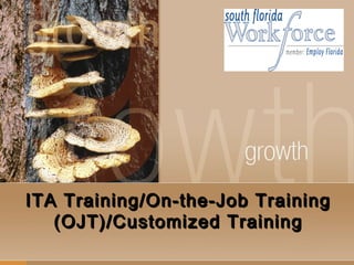 ITA Training/On-the-Job TrainingITA Training/On-the-Job Training
(OJT)/Customized Training(OJT)/Customized Training
 