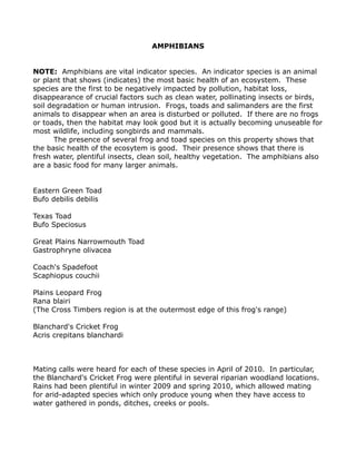 AMPHIBIANS
NOTE: Amphibians are vital indicator species. An indicator species is an animal
or plant that shows (indicates) the most basic health of an ecosystem. These
species are the first to be negatively impacted by pollution, habitat loss,
disappearance of crucial factors such as clean water, pollinating insects or birds,
soil degradation or human intrusion. Frogs, toads and salimanders are the first
animals to disappear when an area is disturbed or polluted. If there are no frogs
or toads, then the habitat may look good but it is actually becoming unuseable for
most wildlife, including songbirds and mammals.
The presence of several frog and toad species on this property shows that
the basic health of the ecosytem is good. Their presence shows that there is
fresh water, plentiful insects, clean soil, healthy vegetation. The amphibians also
are a basic food for many larger animals.
Eastern Green Toad
Bufo debilis debilis
Texas Toad
Bufo Speciosus
Great Plains Narrowmouth Toad
Gastrophryne olivacea
Coach's Spadefoot
Scaphiopus couchii
Plains Leopard Frog
Rana blairi
(The Cross Timbers region is at the outermost edge of this frog's range)
Blanchard's Cricket Frog
Acris crepitans blanchardi
Mating calls were heard for each of these species in April of 2010. In particular,
the Blanchard's Cricket Frog were plentiful in several riparian woodland locations.
Rains had been plentiful in winter 2009 and spring 2010, which allowed mating
for arid-adapted species which only produce young when they have access to
water gathered in ponds, ditches, creeks or pools.
 