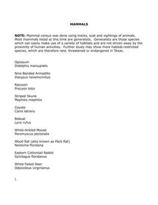 MAMMALS
NOTE: Mammal census was done using tracks, scat and sightings of animals.
Most mammals listed at this time are generalists. Generalists are those species
which can easily make use of a variety of habitats and are not driven away by the
proximity of human activities. Further study may show more habitat-restricted
species, which are therefore rare, threatened or endangered in Texas.
Opossum
Didelphis marsupialis
Nine Banded Armadillo
Dasypus novemcinctus
Raccoon
Procyon lotor
Striped Skunk
Mephitis mephitis
Coyote
Canis latrans
Bobcat
Lynx rufus
White-Ankled Mouse
Peromyscus pectoralis
Wood Rat (also known as Pack Rat)
Neotoma floridana
Eastern Cottontail Rabbit
Sylvilagus floridanus
White-Tailed Deer
Odocoileus virginianus

 