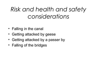 Risk and health and safety
considerations
• Falling in the canal
• Getting attacked by geese
• Getting attacked by a passer by
• Falling of the bridges
 