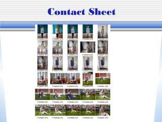 Contact Sheet
 