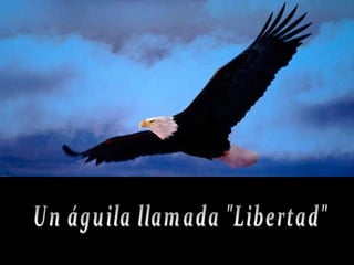 Un águila llamada &quot;Libertad&quot; 