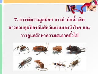 7. การจดการมูลฝอย การบาบดน้าเสีย
การควบคุมป้ องกนสตว์และแมลงนาโรค และ
การดูแลรกษาความสะอาดท่วไป
 
