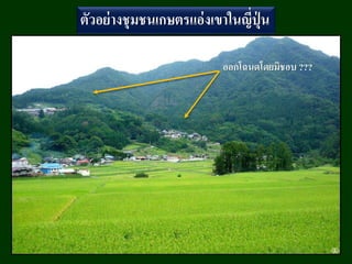 18 พฤษภาคม 2558แนวคิดปฏิรูปการผังเมืองอย่างยั่งยืน / ศ.กิตติคุณ เดชา บุญค้า 80
ตัวอย่างชุมชนเกษตรแอ่งเขาในญี่ปุ่ น
ออกโฉนดโดยมิชอบ ???
 