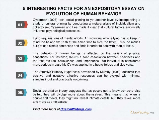 Essay on human evolution