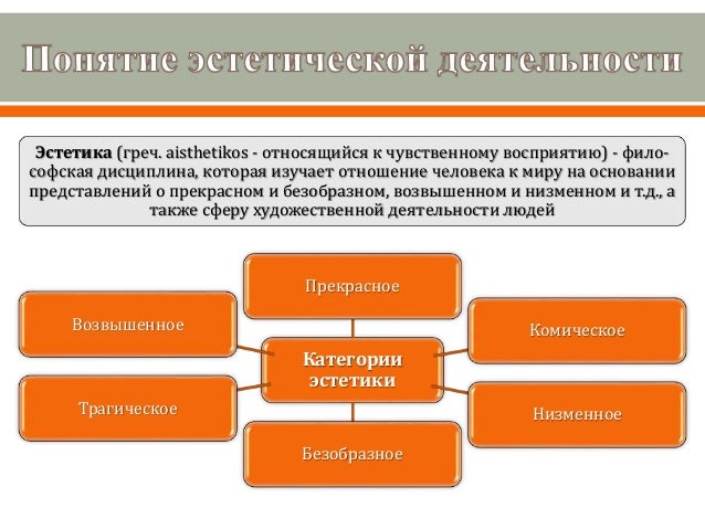 Сферы деятельности кии