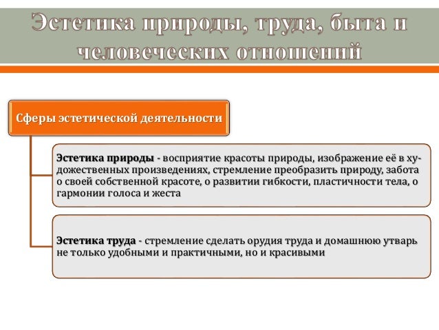 Сферы деятельности кии