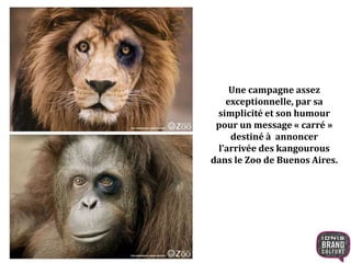 Une campagne assez 
exceptionnelle, par sa 
simplicité et son humour 
pour un message « carré » 
destiné à annoncer 
l’arrivée des kangourous 
dans le Zoo de Buenos Aires. 
 