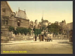 Musée d’Histoire Naturelle 