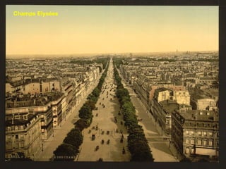 Champs Elysées 