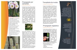 ou aproveitamento
1. Cochonilhas - são comuns em
viveiros. Sinais: Pequenos
escudos amarelados ou escuros
ou parecendo pequenas bolinhas
de algodão. Controle: Aplicar óleo
de nim ou chá da alamanda.
2. Ácaro vermelho - produz
manchas amareladas
acinzentadas ou esbranquiçadas
na planta. Controle: mesmos
produtos para cochonilhas.
3. Caracóis e lesmas - atacam e
devoram as plantas,
principalmente após chuva ou à
noite. Controle: Corte o gargalo de
uma garrafa plástica e coloque um
pouco de cerveja, leite ou
refrigerante com sal em lugares
escondidos atrás de outras
plantas.
Propagação por
sementes
Os frutos dos cactos contêm inúmeras
sementes, quase sempre pretas. Colhe-
se o fruto e extrai-se a polpa, colocando
em água para melhor retirar as
sementes sem danificá-las. Coar num
pano, lavar bem as sementes. Deixar
secar no sol. Sementes ainda com fibras
devem ser descartadas. Para semeadura
usar bandejas de isopor ou então
recipientes como bacias plásticas ou
caixas de frutas forradas no fundo com
furos e encher com substrato feito de
casca de arroz carbonizada, pó de coco
ou substratos adquiridos no
comércio. Semear, podendo cobrir com
areia peneirada ou deixar sem
cobertura nenhuma. A germinação
ocorre entre 30 e 45 dias, sendo o verão
a melhor época.
Evite regar a sementeira. Se colocar a
bandeja dentro de outra com uma
lâmina de água não será necessário
molhar. Para que isso ocorra, a altura
do substrato deverá ser de 4 até 6 cm. A
observação da umidade do substrato é
fundamental. Esta bandeja de sementes
poderá ir para estufa ou uma cobertura
com plástico para manter a
umidade. Após a emergência, retirar a
cobertura e manter a bandeja em local
ventilado, mas à sombra. O tempo de
ficar no substrato de semeadura é de 3
a 4 semanas com posterior adubação.
Após 4 a 5 meses poderá ser feito o
transplante para vasos.
Para quem cultivar a nível comercial, as
plantas ficarão neste tipo de recipiente
até o segundo ano após a semeadura.
O tipo de vaso poderá ser de plástico ou
cerâmica crua. Quando retirar a muda
com cuidado do vaso antigo, examine as
raízes. Existe um tipo de cochonilha,
parece um floquinho de algodão, que
costuma se alojar ali. Se for o caso,
aplique chá de alamanda ou uma solução
bem diluída de óleo de nim. Espere uns
minutos para a solução secar. Prepare o
vaso com o substrato e coloque a planta,
não apertando, apenas fixando. Por cima
do substrato poderá colocar areia ou
cascalho fino, para ajudar a aeração e
evitar a perda de água.
Uma adubação com adubo granulado
dissolvido e usado como água de rega
poderá ser feita a cada mês, mas sempre
umedeça um dia antes com um pouco de
água, para evitar a concentração de sais
na superfície seca do substrato.
Se não temos paciência de esperar, ou
ainda, precisamos atender a um mercado
com alta rotatividade, podemos fazer
mudas com estacas de partes das plantas
estacas no substrato, não mais profundo
que 4 cm, isso para estacas grandes.
O substrato poderá ser:
- Casca de arroz carbonizado;
- Areia ou,
- Pó de côco.
Mantidos levemente úmidos.
ou aproveitamento
dos filhotes que
surgem junto à ela.
Quando cortar uma
estaca ou retirar
um rebento, deixe
em bandejas à
sombra até se
observar um tecido
sem umidade.
Coloque então as
Usar substratos que não
retenham água como areia,
cascalhos, cascas de árvores
decompostas e compostos
orgânicos de folhagens junto
com solo mineral comum.
Inserir húmus de minhoca. Em
vasos preparar o fundo com
pedras ou cascalhos. A mistura
ideal vai depender do material
disponível.
Para ver as mudinhas
crescerem é preciso fazer
a aclimatação delas à luz
solar. Sendo crescente
diariamente sua exposição
ao sol.
Quando já estiverem
crescidas a exposição
direta é de extrema
necessidade.
Os cactos não apreciam
regiões de muito frio.
Portanto em regiões com
invernos muito frios e
úmidos a planta terá
problemas.
Transplante de mudas
Propagação vegetativa
 