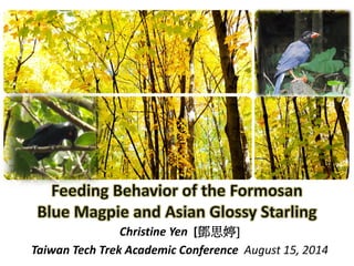 Christine Yen [鄧思婷]
Taiwan Tech Trek Academic Conference August 15, 2014
 