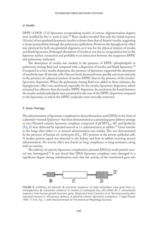 
   
d. Insulin
DPPC–CHOL (7:2) liposomes encapsulating insulin of various oligomerization degrees
were instilled by the i.t. route in rats.53 These studies revealed that only the initial response
(10 min) of encapsulated hexameric insulin is slower than that of dimeric insulin,suggesting
a slower permeability through the pulmonary epithelium.However,the hypoglycemic eﬀect
was identical for both encapsulated oligomers, as it was for the physical mixture of insulin
and blank liposomes. Prolonged absorption of insulin is not due to encapsulation but to the
liposome surface connection and probably to an interaction between the exogenous DPPC
and pulmonary surfactant.
The absorption of insulin was studied in the presence of DPPC phospholipids or
pulmonary rinsing ﬂuid and compared with a dispersion of insulin and blank liposomes.54
Compared to a free insulin dispersion, the presence of liposomes supported the absorption
of insulin by type-II alveolar cells.Glucose levels decreased more quickly and more intensely
in the presence of a physical mixture of insulin–DPPC than in the presence of the insulin–
liposomes dispersion. When the pulmonary rinsing ﬂuid was added to these mixtures, the
hypoglycemic eﬀect was reinforced, especially for the insulin-liposomes dispersion, which
remained less eﬀective than the insulin–DPPC dispersion.In conclusion,the bonds between
the insulin and phospholipids were promoted in the case of the DPPC dispersion compared
to the liposomes, in which the DPPC molecules were sterically restricted.
9. Gene Therapy
The administration of liposomes complexed to deoxyribonucleic acid (DNA) in the form of
a plasmid—termed lipofection—has been demonstrated as a promising gene delivery strategy
in vivo. Plasmid–cationic liposome complexes composed of pCMV4α1-AT and lipofectin
(Fıg. 8) were delivered by repeated aerosol or i.v. administration in rabbits.55 Gene transfer
to the lungs after either i.v. or aerosol administration was similar. This was demonstrated
by the presence of human α1-antitrypsin (Hα1-AT) proteins in the airway epithelial cells.
A weaker protein signal was detected in the kidney and liver in rabbits receiving aerosol
administration. No reverse eﬀect was found on lung compliance or lung resistance, along
with no toxicity.
The delivery of cationic liposomes complexed to plasmid DNA by small particle aero-
sol was investigated.56 It was found that DNA–liposome complexes were damaged to a
signiﬁcant degree during nebulization, such that the activity of the transfected gene was
FIGURE 8. pCMV4α1-AT plasmid. A: promoter sequence of major immediate early gene from cy-
tomegalovirus. B: translation enhancer. C: human α1-antitrypsin (hα1-AT) cDNA. D: 3’ untranslated
sequence from human growth hormone gene. (Reprinted from Canonico et al. No lung toxicity after
repeated aerosol or intravenous delivery of plasmid–cationic liposomes complexes. J Appl Physiol
1994; 77:416, Fig. 1, with kind permission of The American Physiology Society.)
 