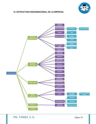 PIL TARIJA S. A. Página 24
16. ESTRUCTURA ORGANIZACIONAL DE LA EMPRESA:
 