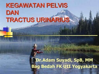 KEGAWATAN PELVIS
DAN
TRACTUS URINARIUS




        Dr.Adam Suyadi, SpB, MM
      Bag Bedah FK UII Yogyakarta
 