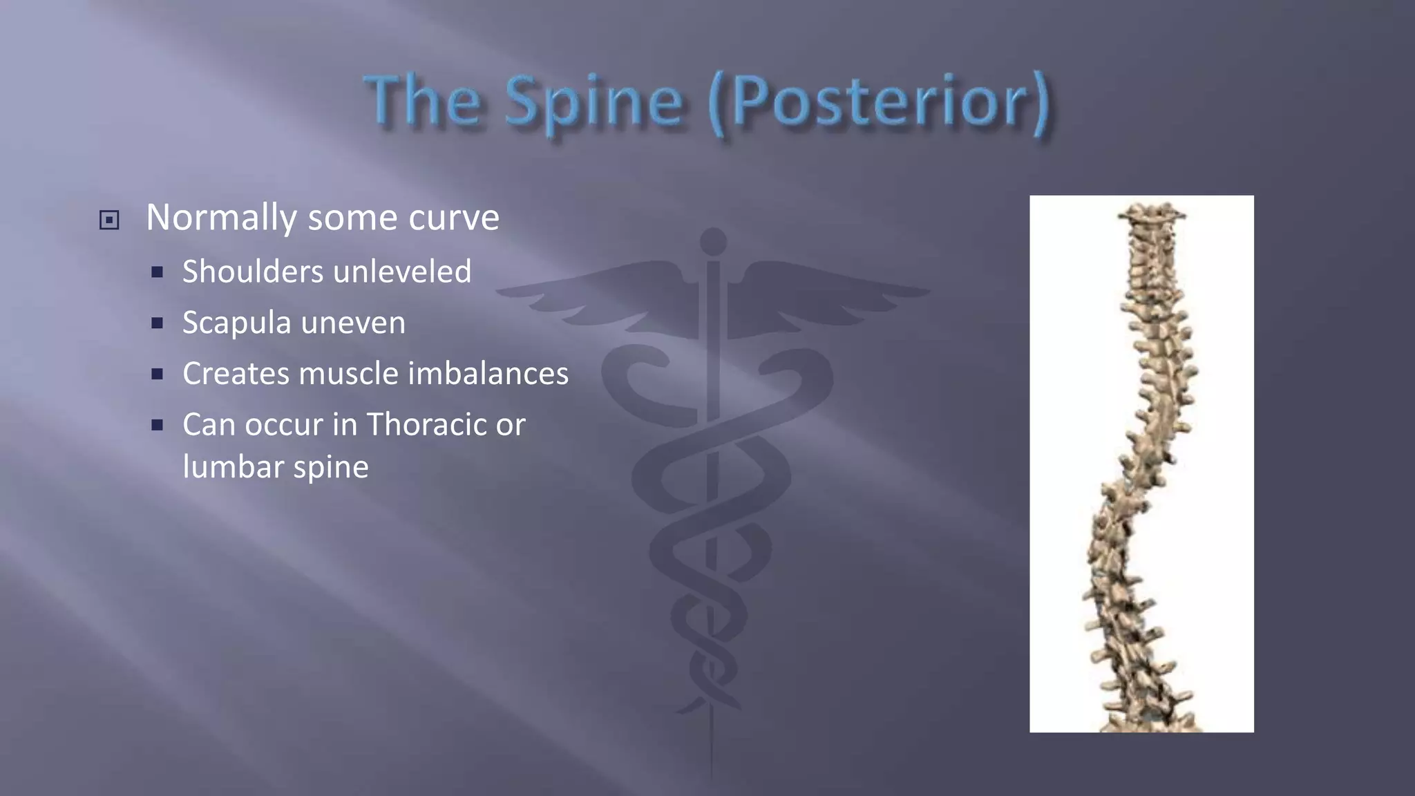  Normally some curve
 Shoulders unleveled
 Scapula uneven
 Creates muscle imbalances
 Can occur in Thoracic or
lumbar spine
 