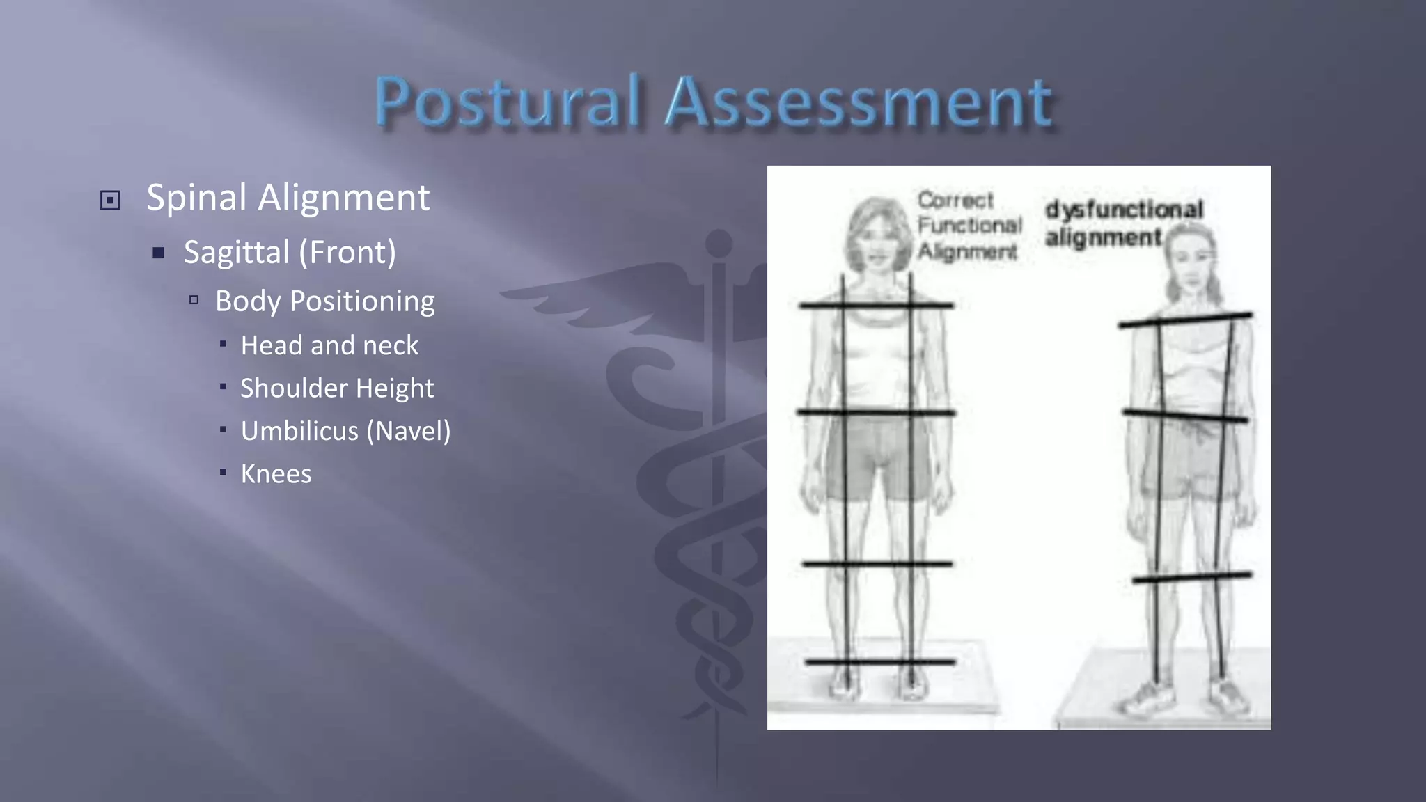  Spinal Alignment
 Sagittal (Front)
 Body Positioning
 Head and neck
 Shoulder Height
 Umbilicus (Navel)
 Knees
 