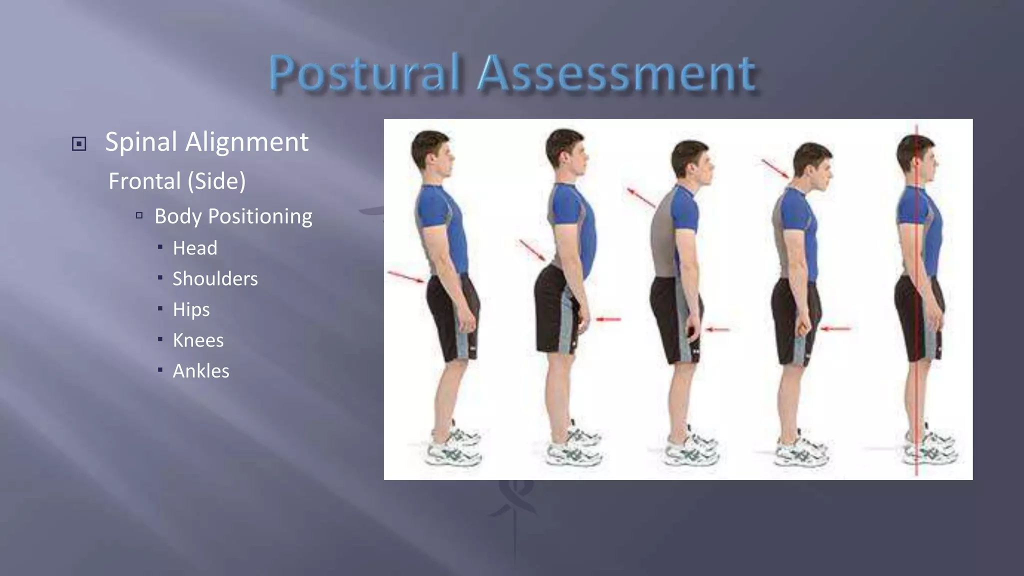  Spinal Alignment
Frontal (Side)
 Body Positioning
 Head
 Shoulders
 Hips
 Knees
 Ankles
 