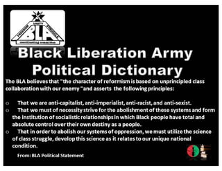 Black Liberation Army (BLA) Political Dictionary 4Download