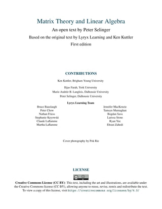 Matrix Theory And Linear Algebra First Peter Selinger | PDF