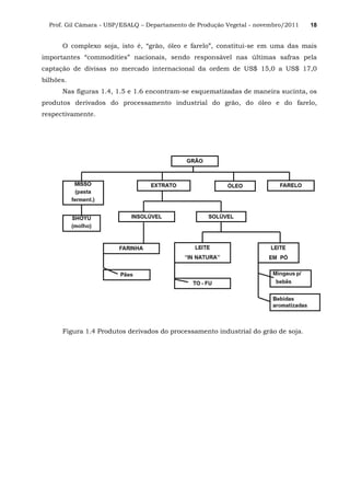 Prof. Gil Câmara - USP/ESALQ – Departamento de Produção Vegetal - novembro/2011 18
O complexo soja, isto é, “grão, óleo e farelo”, constitui-se em uma das mais
importantes “commodities” nacionais, sendo responsável nas últimas safras pela
captação de divisas no mercado internacional da ordem de US$ 15,0 a US$ 17,0
bilhões.
Nas figuras 1.4, 1.5 e 1.6 encontram-se esquematizadas de maneira sucinta, os
produtos derivados do processamento industrial do grão, do óleo e do farelo,
respectivamente.
Figura 1.4 Produtos derivados do processamento industrial do grão de soja.
 