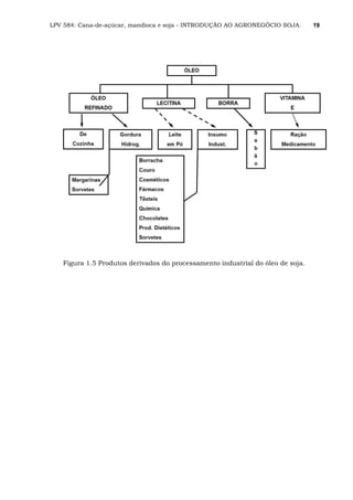 LPV 584: Cana-de-açúcar, mandioca e soja - INTRODUÇÃO AO AGRONEGÓCIO SOJA. 19
Figura 1.5 Produtos derivados do processamento industrial do óleo de soja.
 