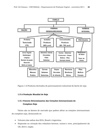 Prof. Gil Câmara - USP/ESALQ – Departamento de Produção Vegetal - novembro/2011 20
Figura 1.6 Produtos derivados do processamento industrial do farelo de soja.
1.5 A Produção Mundial de Soja
1.5.1 Fatores Determinantes das Cotações Internacionais do
Complexo Soja
Vários são os fatores de mercado que podem afetar as cotações internacionais
do complexo soja, destacando-se:
• Volumes das safras dos EUA, Brasil e Argentina.
• Expansão ou retração dos rebanhos bovinos, suínos e aves, principalmente da
UE, EUA e Japão.
 